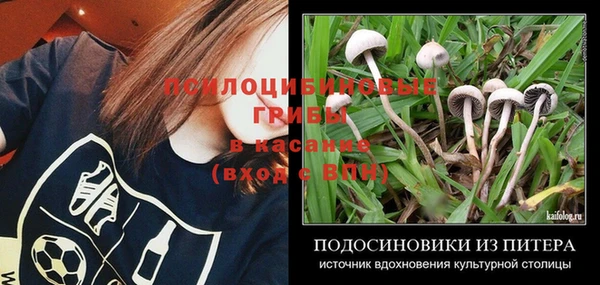 амф Алексеевка