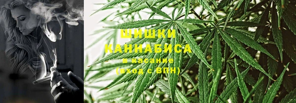 спайс Алексин