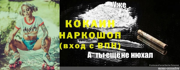 амф Алексеевка
