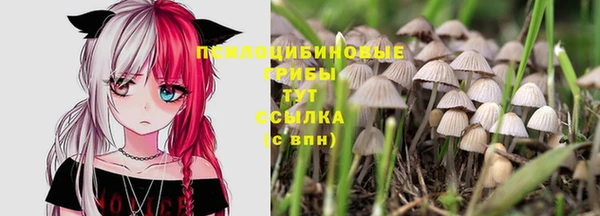 амф Алексеевка