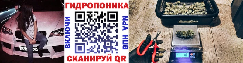 Конопля SATIVA & INDICA Десногорск